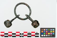 Foto von Bronzegürtelring (NHMW-PRAE-025102)